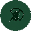 dust mite free